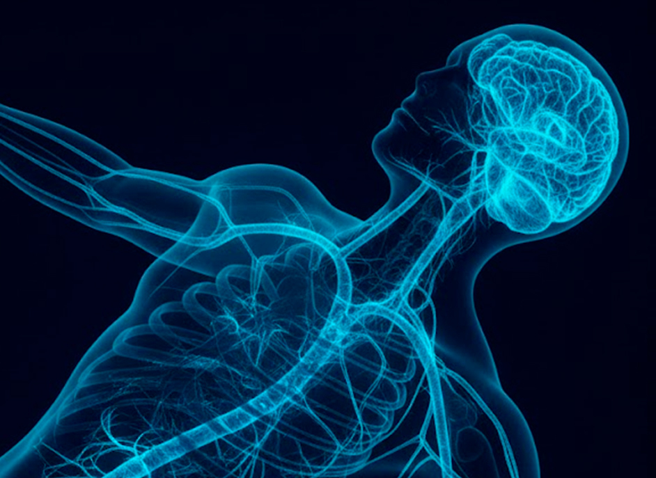 A weekly reflection on the evolution of health, science, longevity and human well-being. (Episode 1)